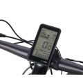 City Electric Bike Rennrad E-Bike mit Nabenmotor